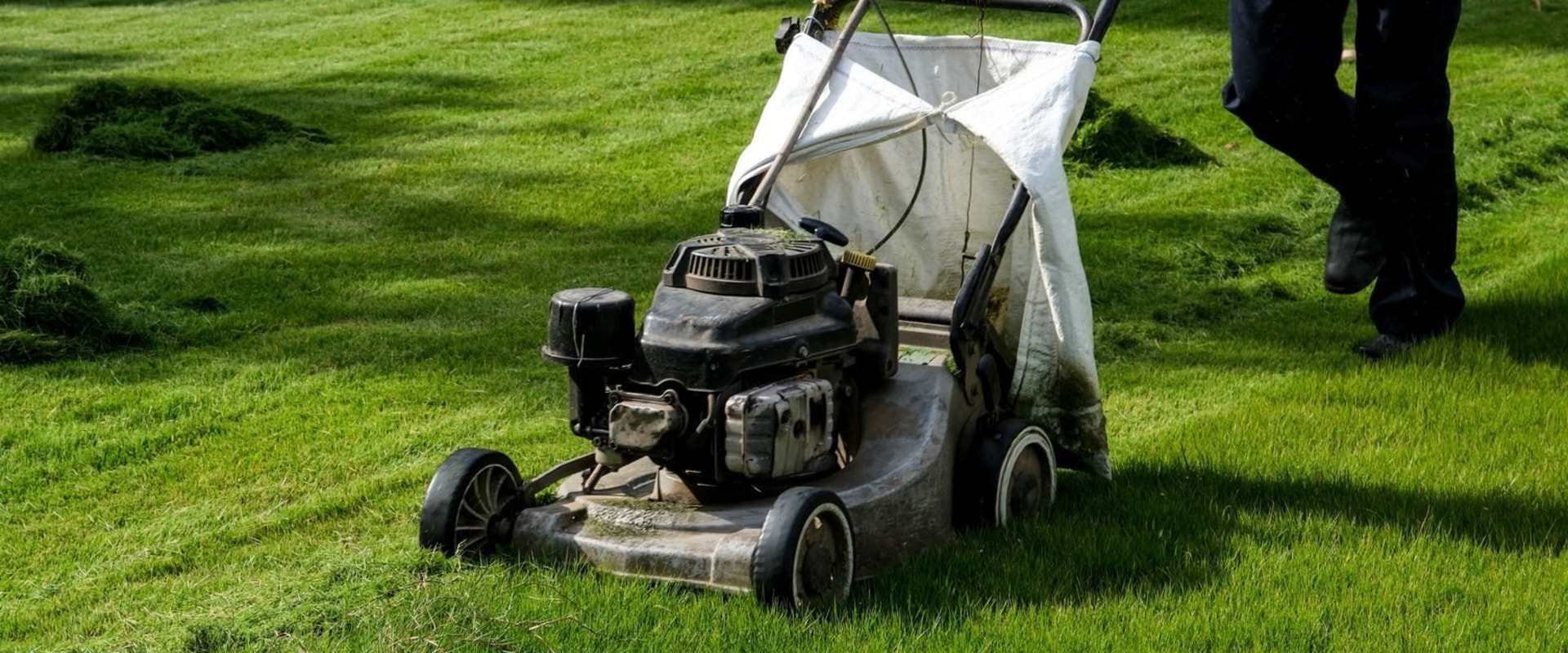 Tips for Maintaining Your Lawn and Garden: A Handyman's Guide