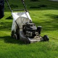 Tips for Maintaining Your Lawn and Garden: A Handyman's Guide