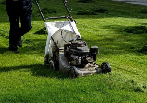 Tips for Maintaining Your Lawn and Garden: A Handyman's Guide